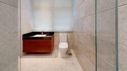 Toh Estate (D17), Semi-Detached #528711951